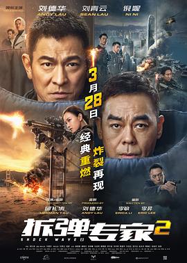 动作片拆弹专家2海报